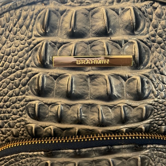 Brahmin Mini backpack GUC - Picture 7 of 12